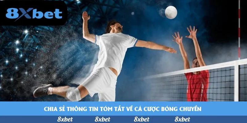 Chia sẻ thông tin tóm tắt về cá cược bóng chuyền