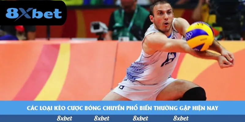 Các loại kèo cược bóng chuyền phổ biến thường gặp hiện nay